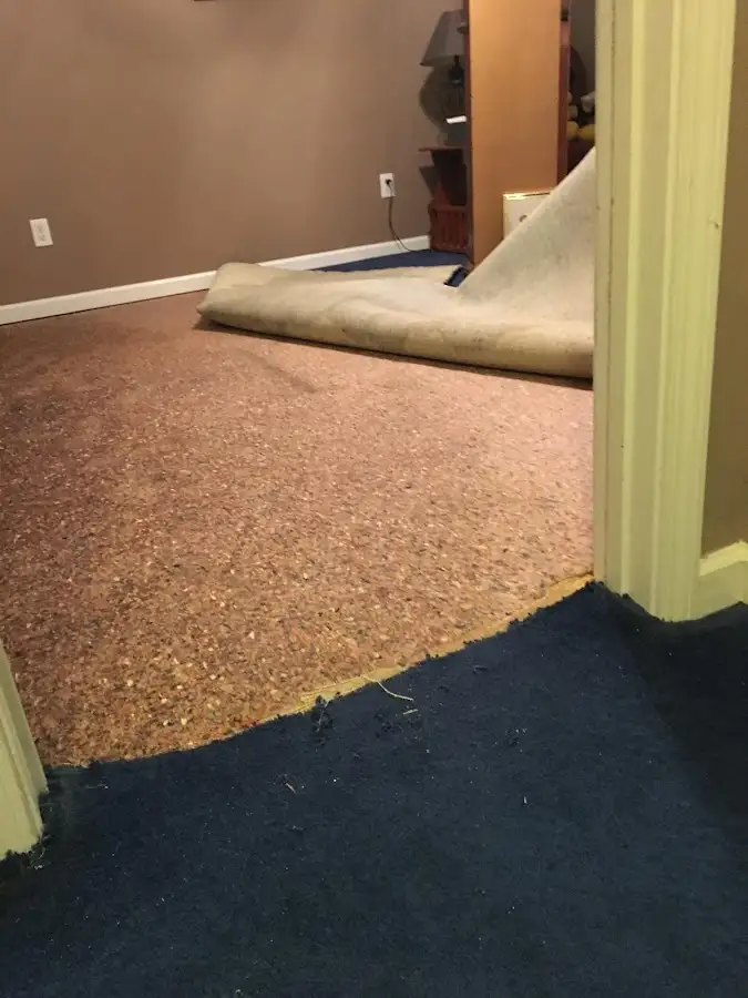 Carpet pad removal revealing water damage during Water Mitigation Services in Purcellville