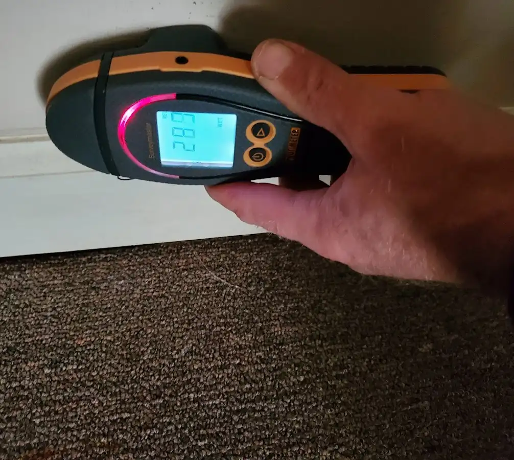 Moisture detection at baseboard during Sewage Cleanup & Sanitation in Purcellville